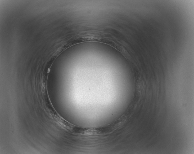 X0000081500420200701121144