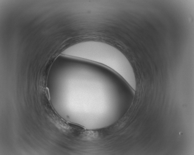 X0000081500421200701121144