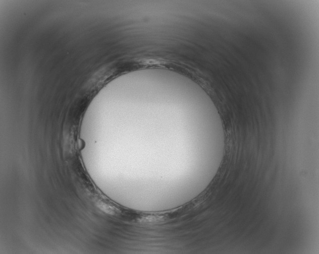 X0000081500422200701121144
