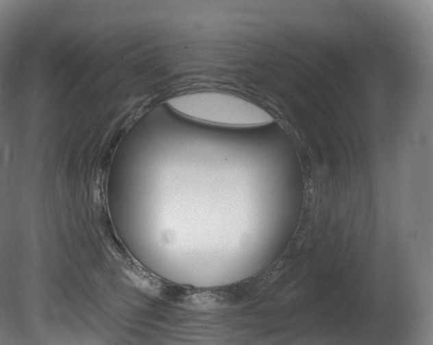 X0000081500423200701121144