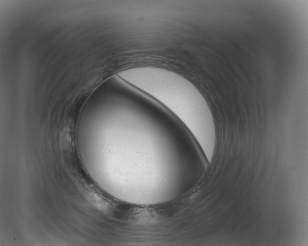 X0000081500424200701121144