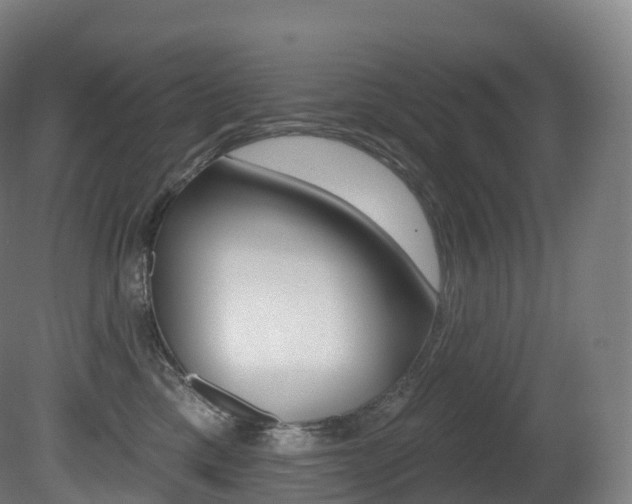 X0000081500425200701121144