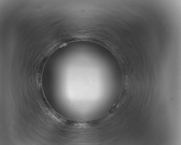 X0000081500428200701121143