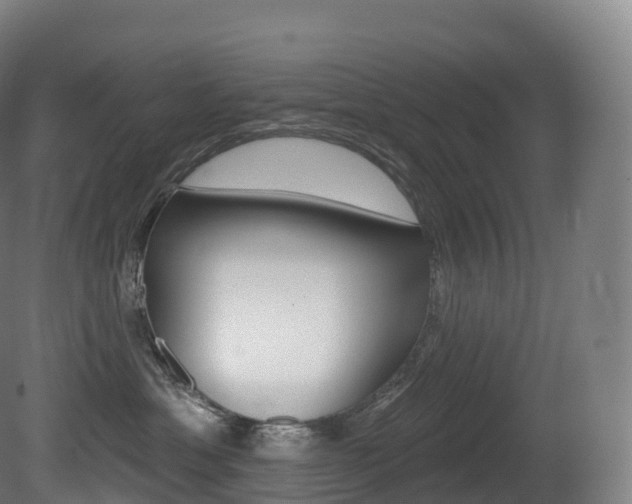 X0000081500429200701121143