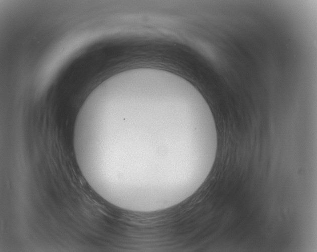 X0000081500431200701121143