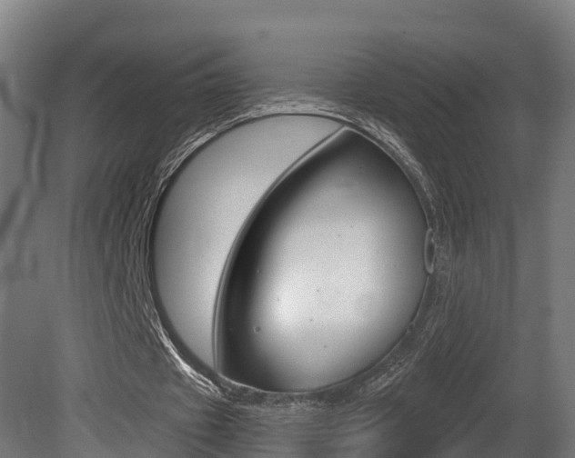 X0000081500433200701121143