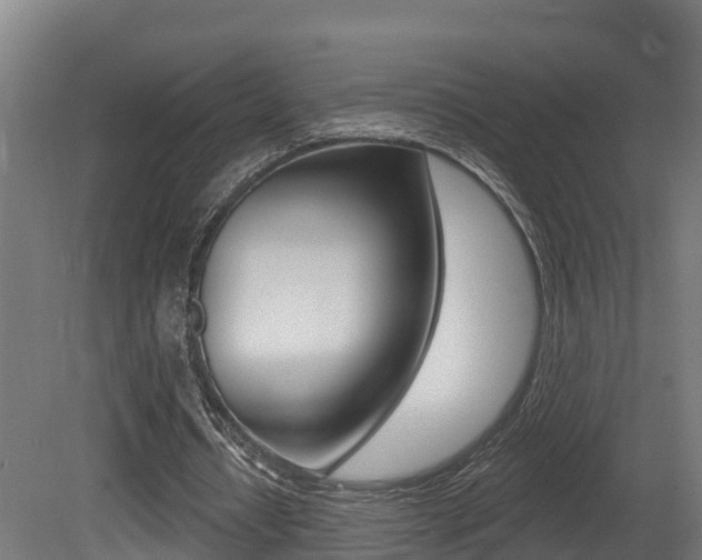 X0000081500434200701121143