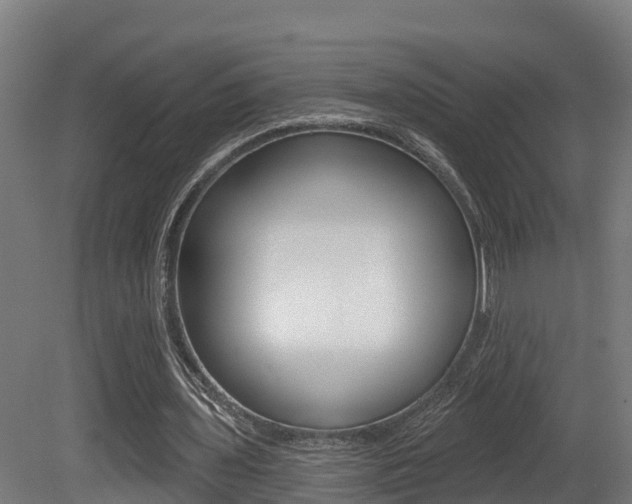 X0000081500435200701121143