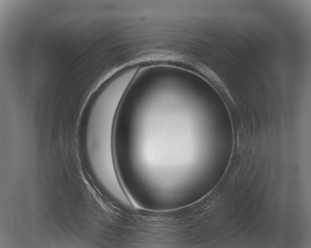 X0000081500436200701121143