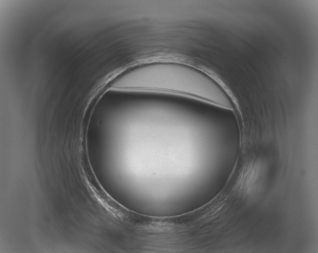 X0000081500437200701121143