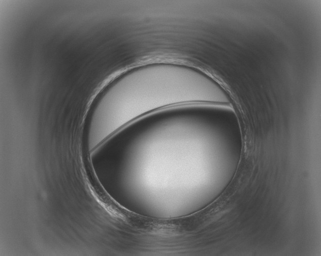X0000081500438200701121143