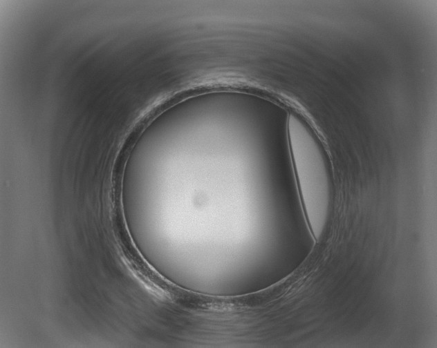 X0000081500439200701121143