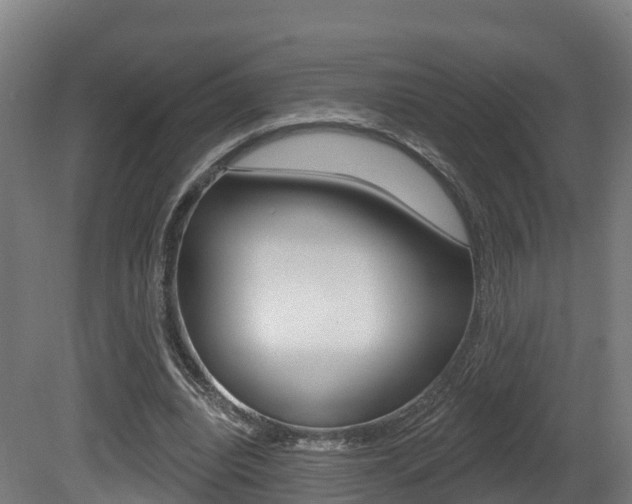 X0000081500440200701121143