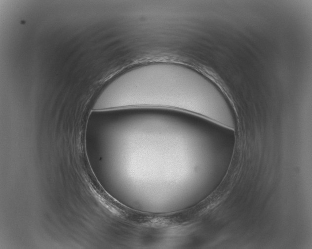 X0000081500441200701121143