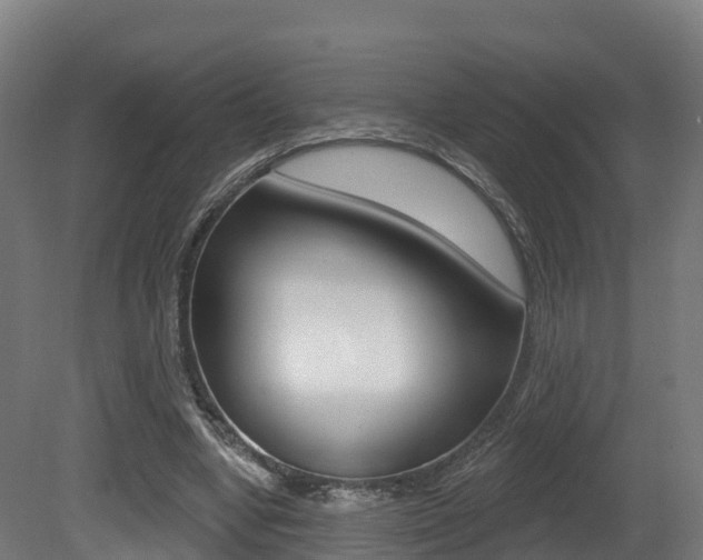 X0000081500442200701121143