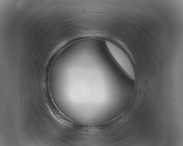X0000081500443200701121143