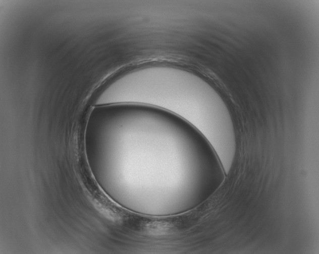 X0000081500444200701121143