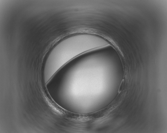 X0000081500445200701121143