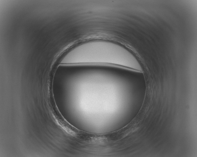 X0000081500446200701121143