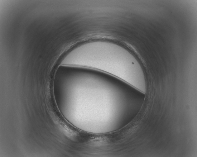 X0000081500447200701121143