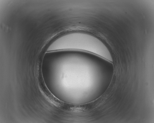 X0000081500448200701121143