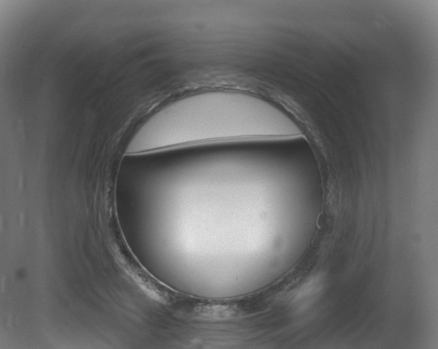 X0000081500449200701121143