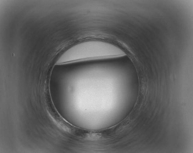 X0000081500451200701121143