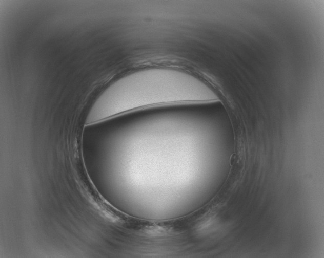 X0000081500453200701121143