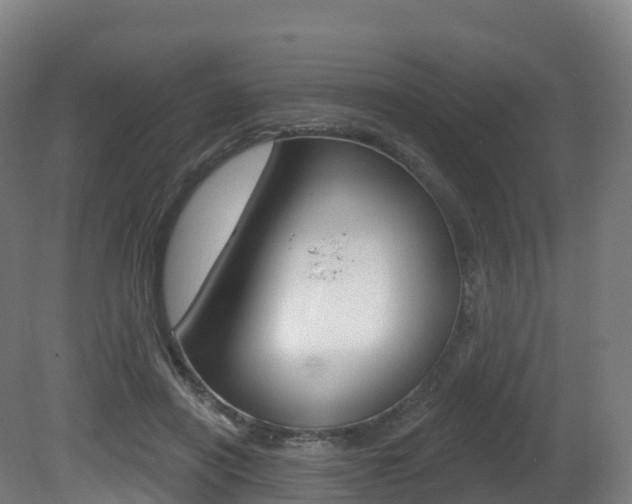 X0000081500454200701121143