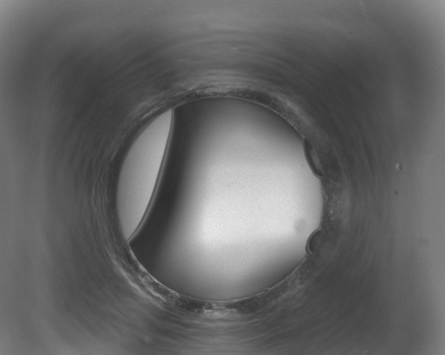 X0000081500455200701121143