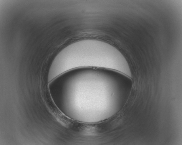 X0000081500456200701121143
