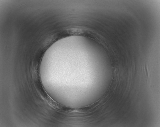 X0000081500460200701121143