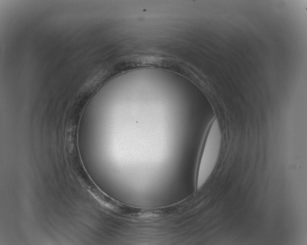X0000081500462200701121143
