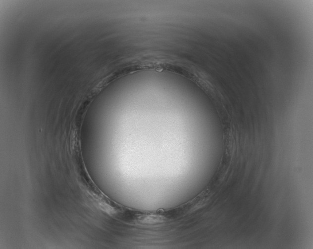 X0000081500463200701121143