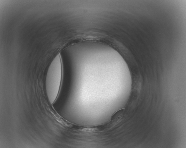 X0000081500465200701121143