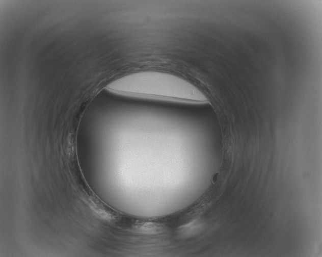 X0000081500467200701121143