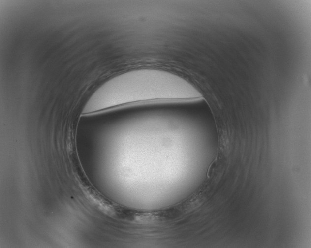 X0000081500470200701121143