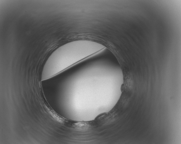 X0000081500477200701121143
