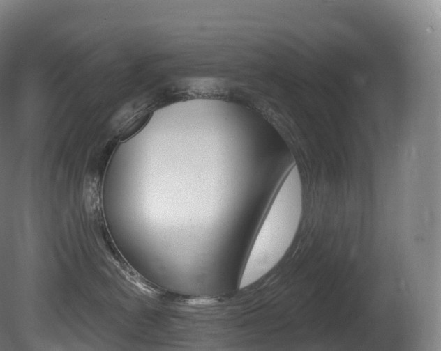 X0000081500478200701121143