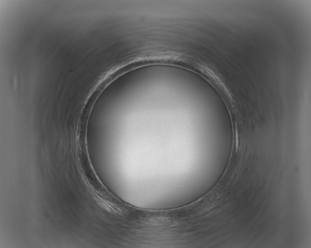 X0000081500483200701121143