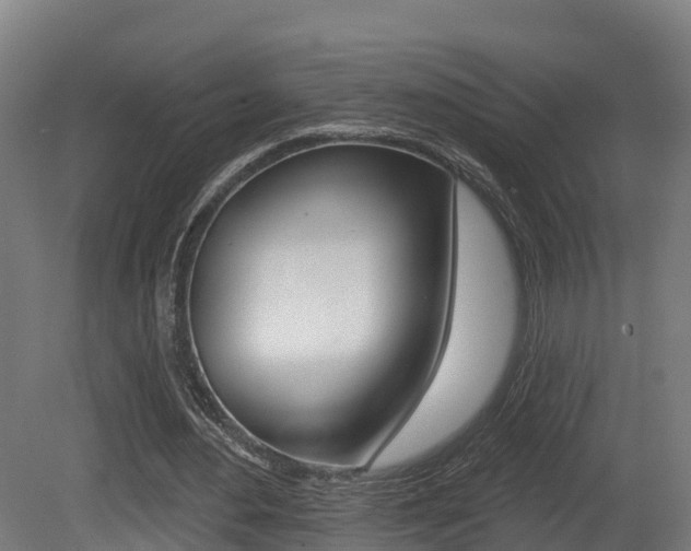 X0000081500484200701121143