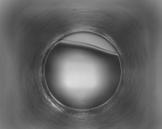 X0000081500485200701121142