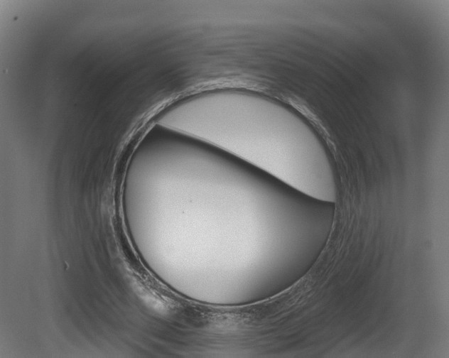 X0000081500486200701121142