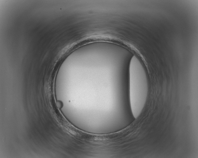 X0000081500487200701121142