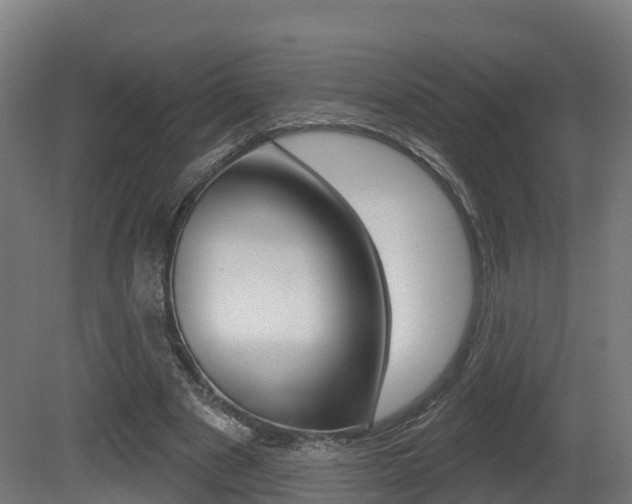 X0000081500489200701121142