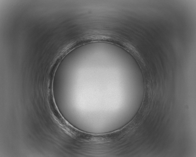 X0000081500490200701121142