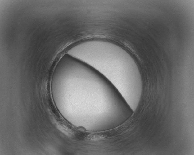 X0000081500491200701121142