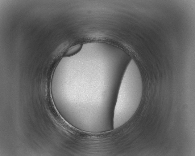 X0000081500494200701121142