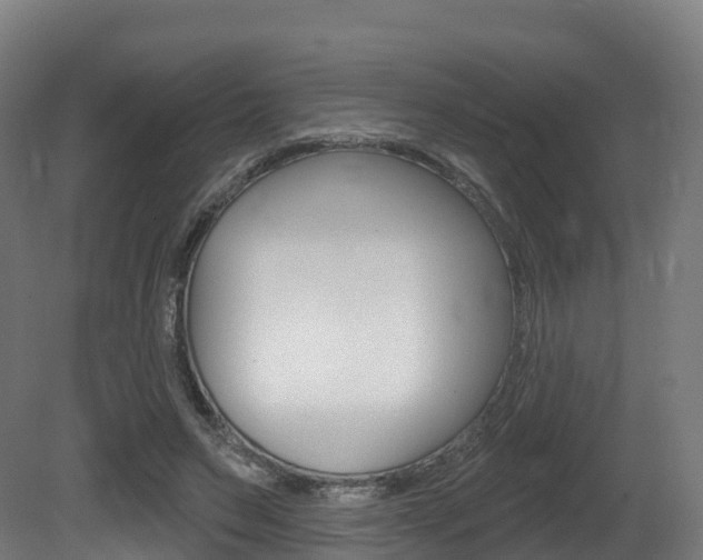 X0000081500495200701121142