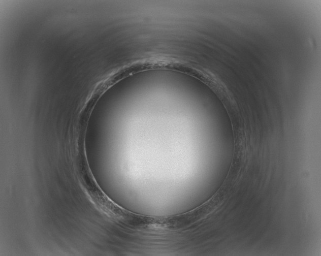 X0000081500496200701121142